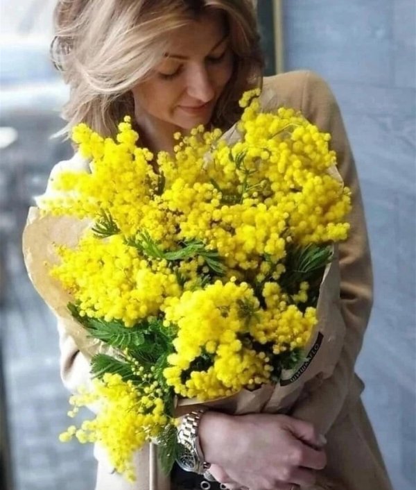 девушка с мимозой