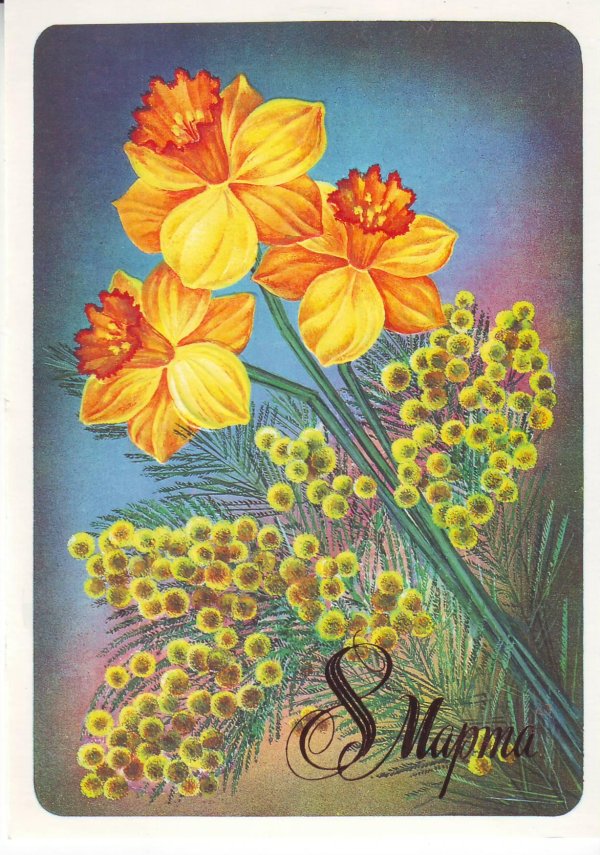 старинные открытки с мимозой