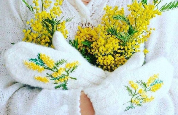 девушка с мимозой