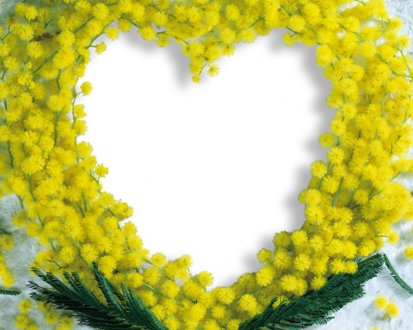 поздравление с 8 марта коллегам