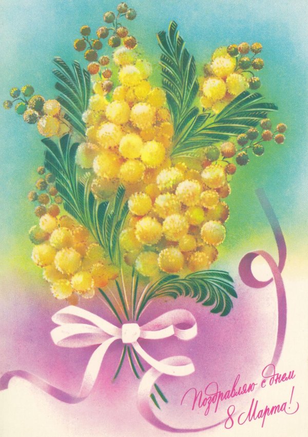 советские открытки с мимозой