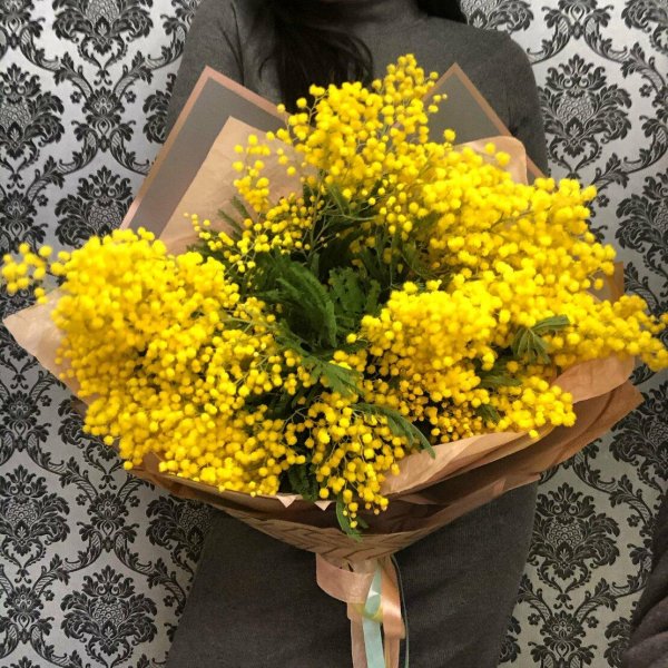 большой букет мимозы