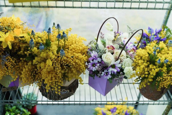 огромный букет мимозы