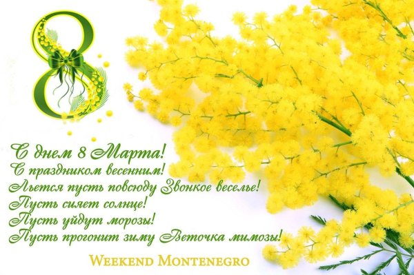 открытка с днем мимозы