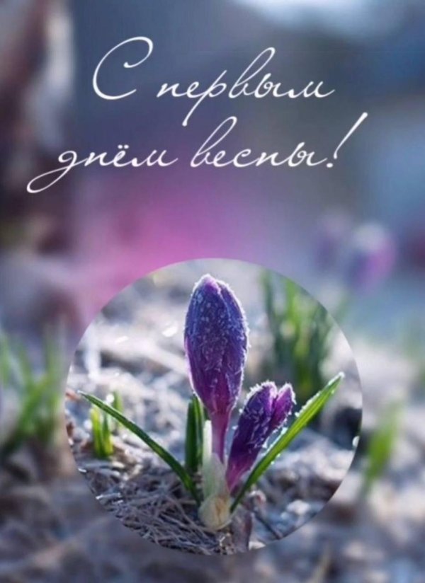 открытка весенняя