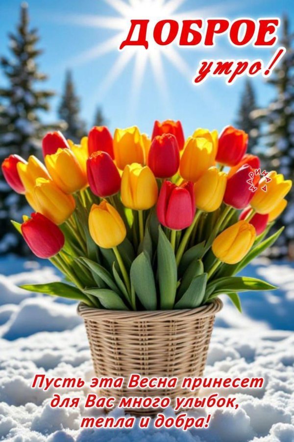 добрейшего весеннего утра