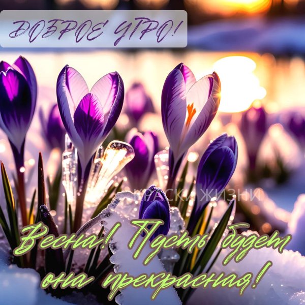 доброго утра весна
