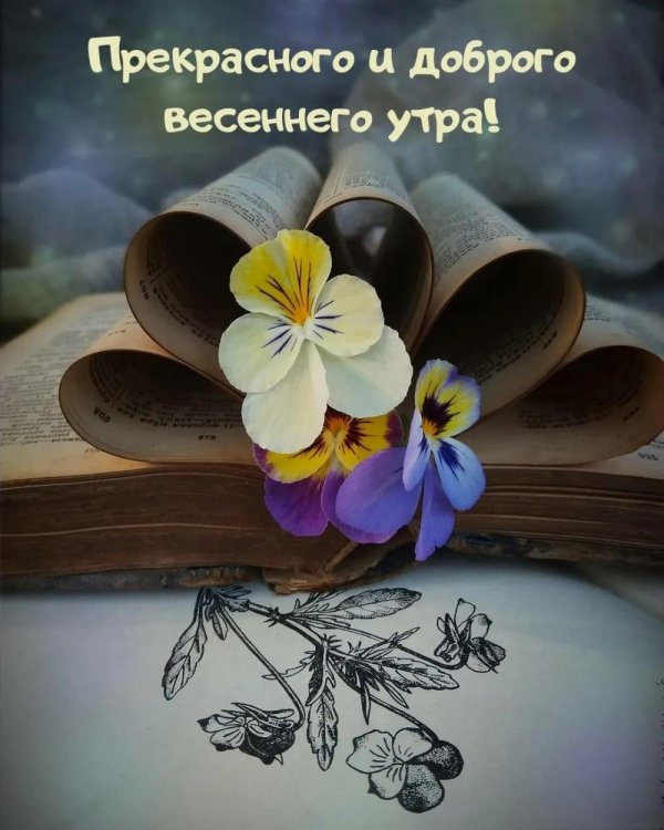 добрейшего весеннего утра
