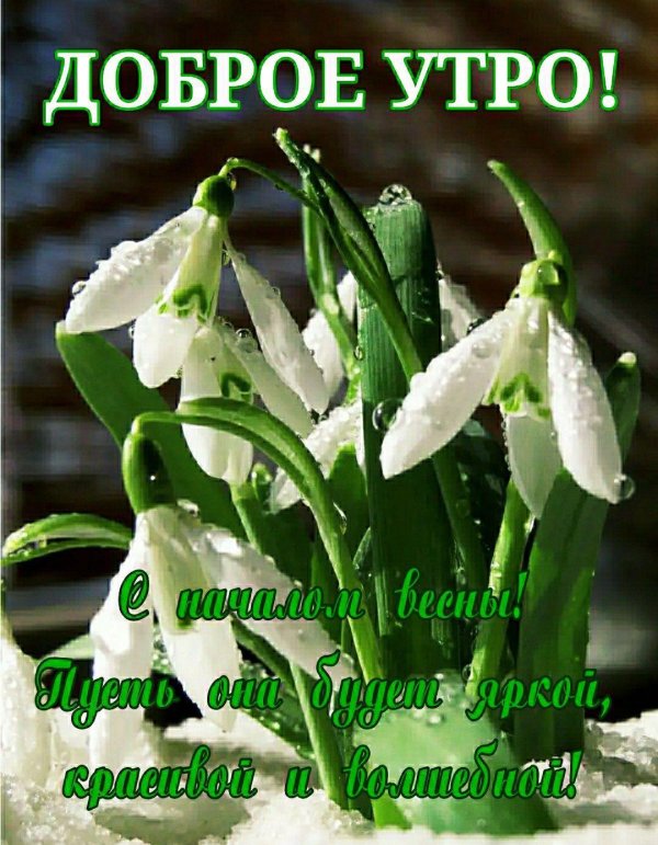 добрейшего весеннего утра