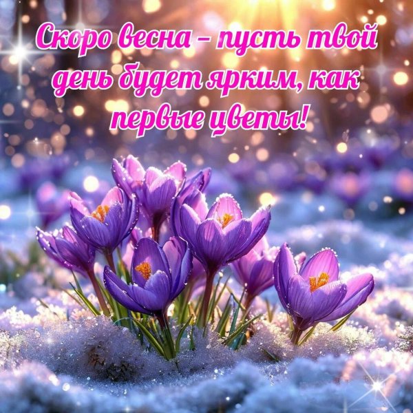 первоцветы в снегу