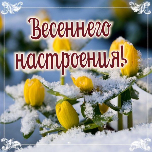 весеннего настроения