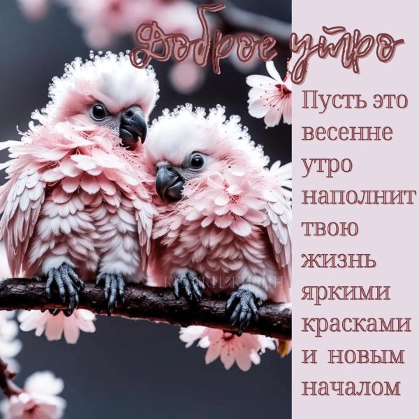 весенние открытки доброе утро