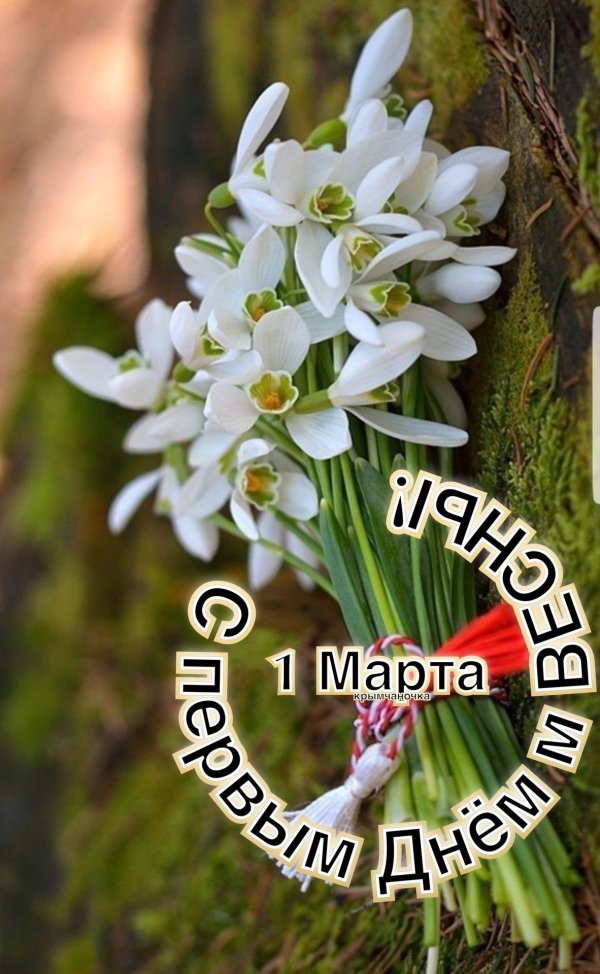 красивый букет подснежников