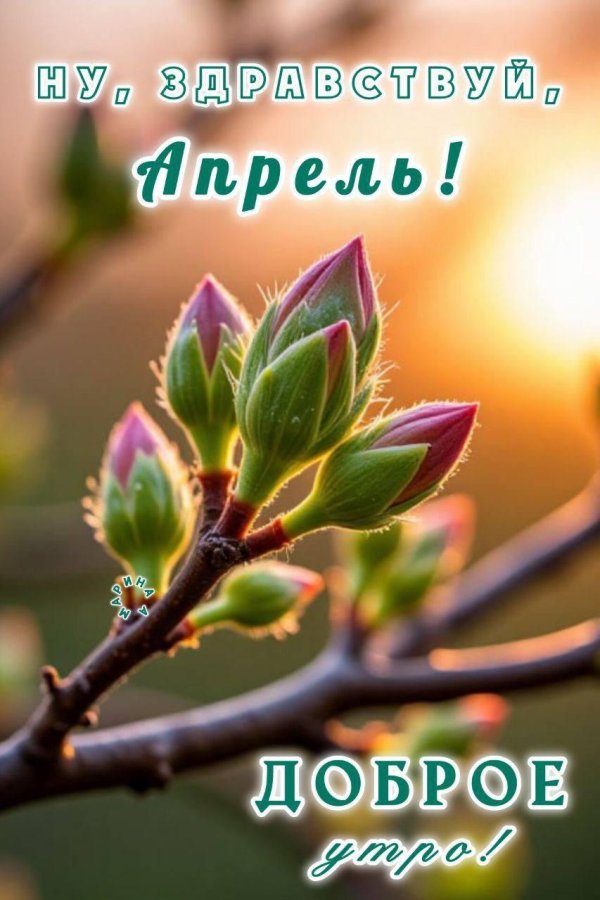 весна почки на деревьях распускаются