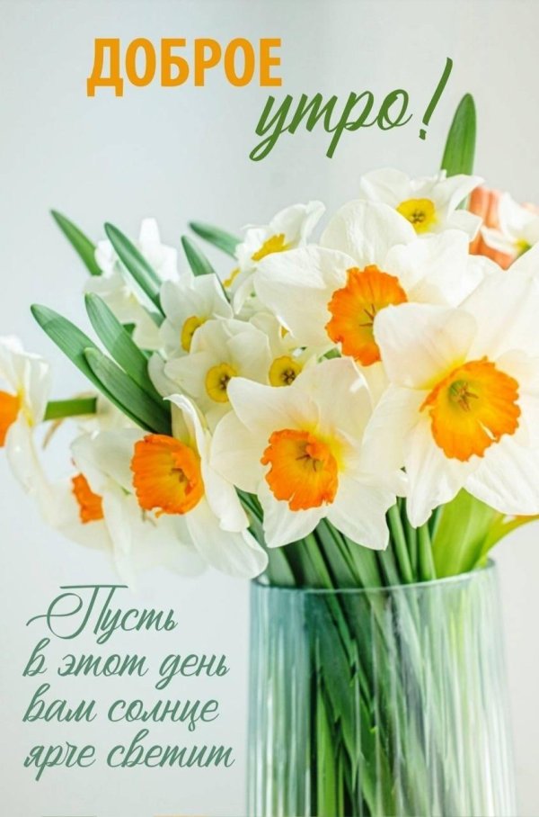 цветок нарцисс