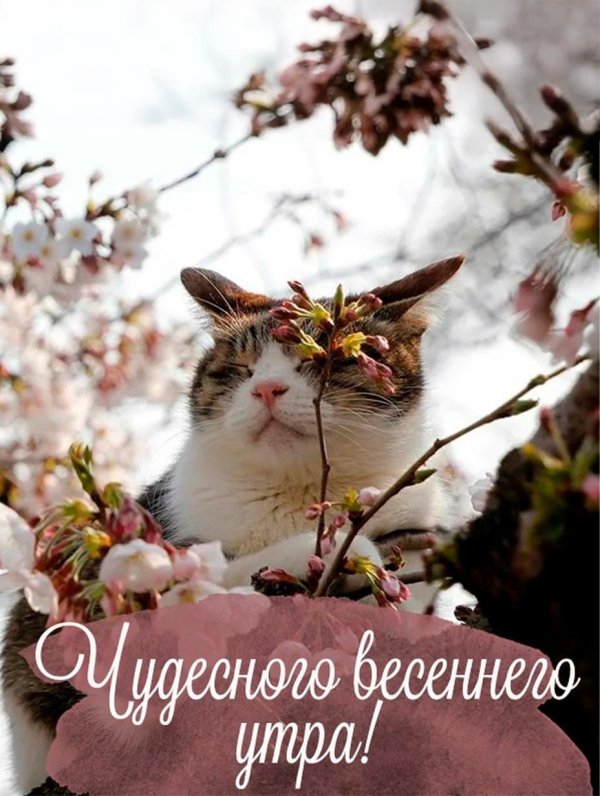 пахнет весной