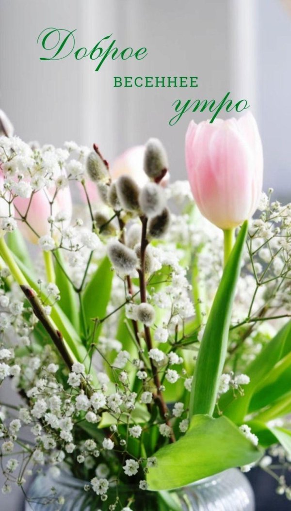 утра доброго весеннего