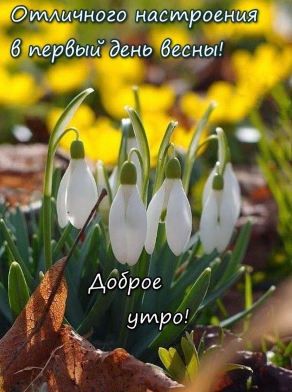 хорошей весны
