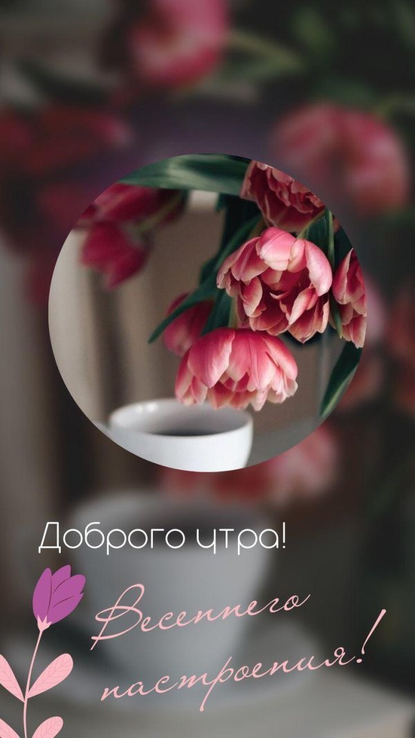 доброе весеннее утро хорошего дня