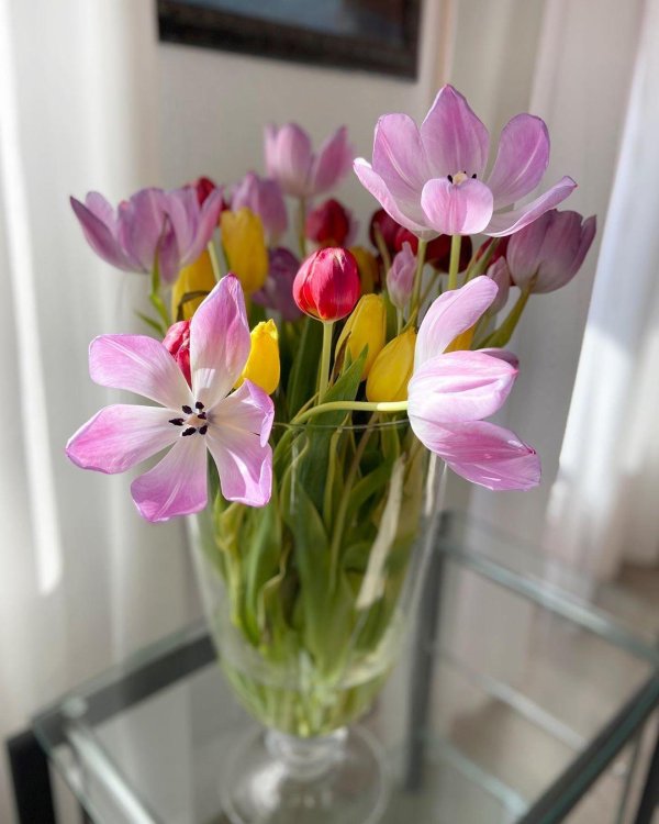букет тюльпанов в вазе
