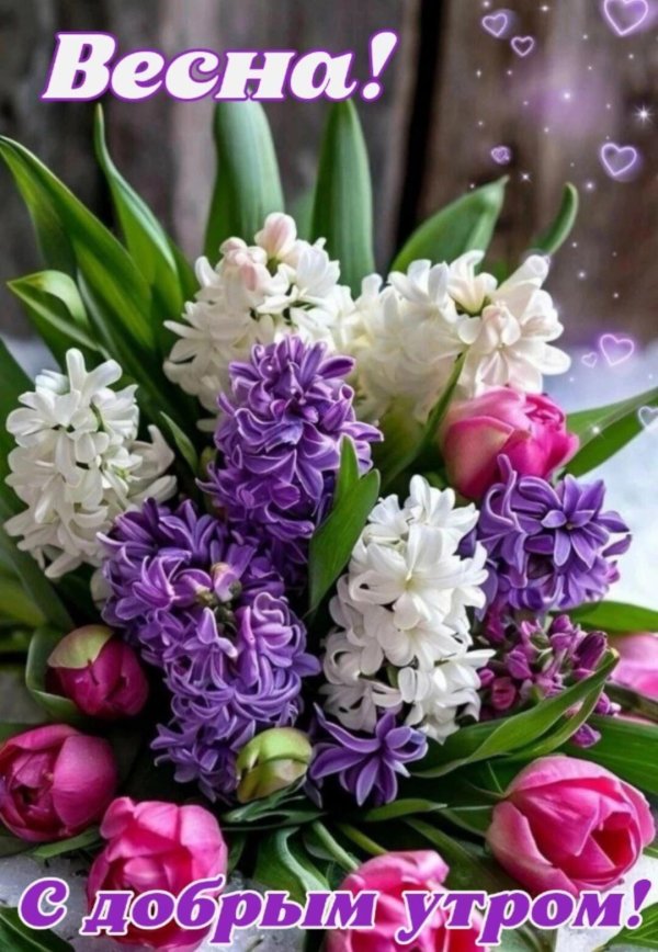 красивая цветы