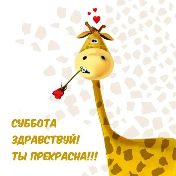 Любимый зять с днем рождения поздравления