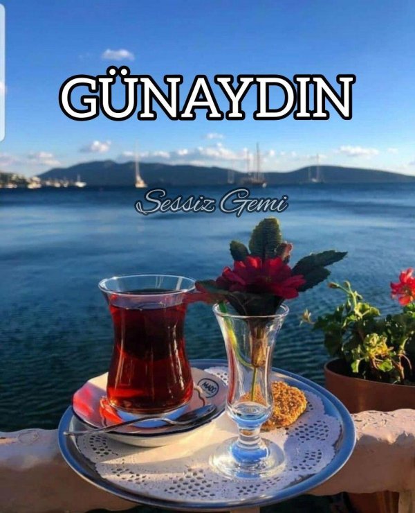 engin günaydın