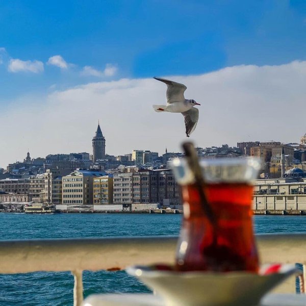 стамбул гюнайдын