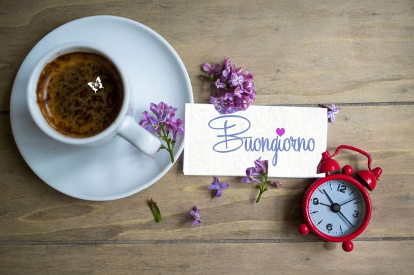 с добрым утром красивые необычные