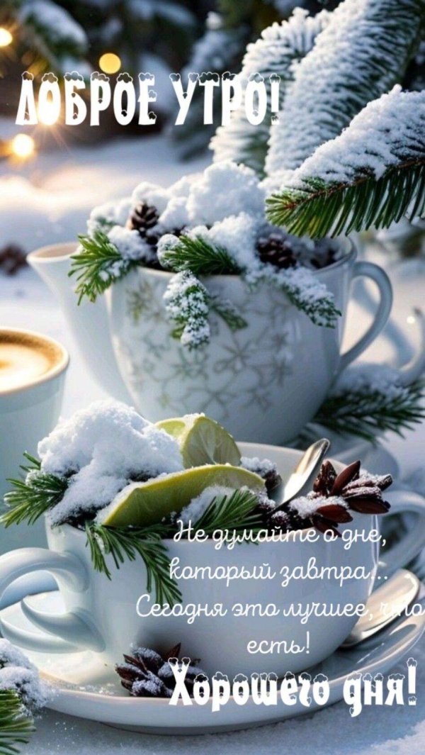 зимнего утра