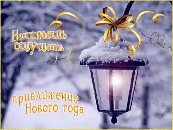 фонарь зимой