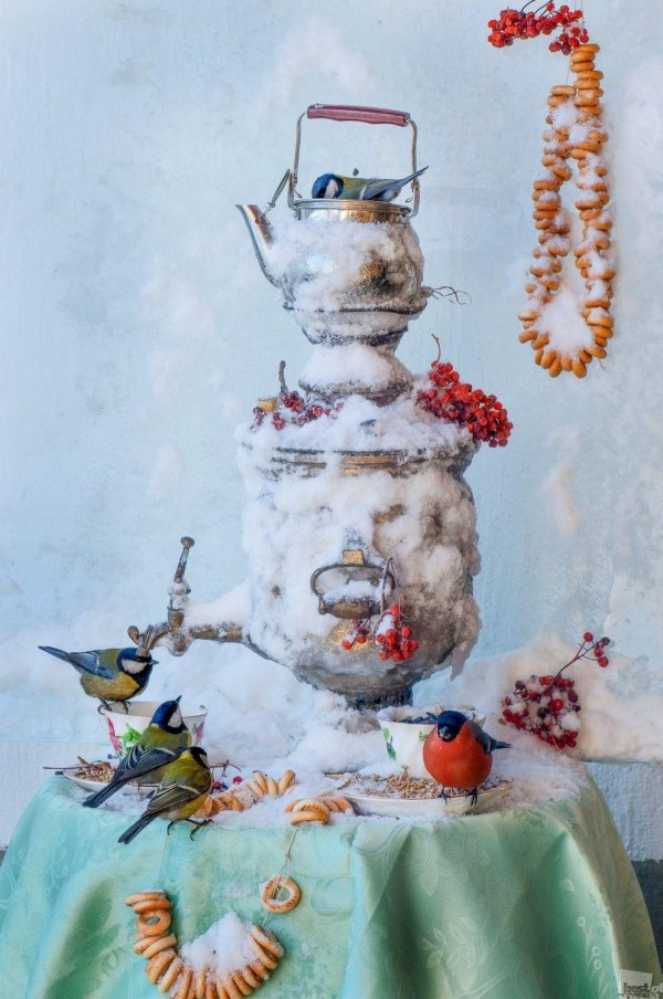 зимнее чаепитие