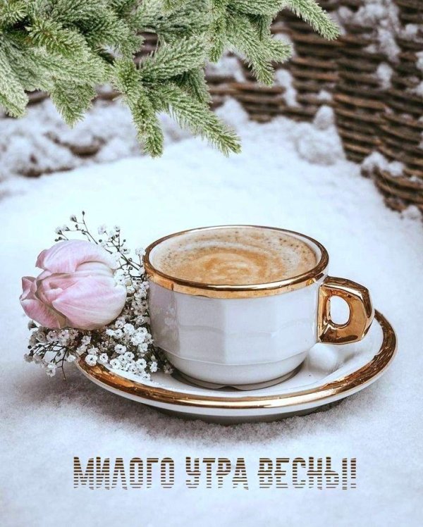 доброго утра зима