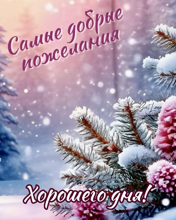 зимнего доброго дня