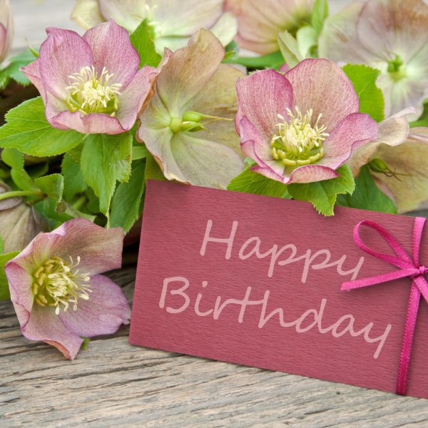 с день рождение