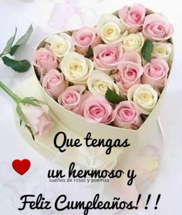 birthday wish happy birthday