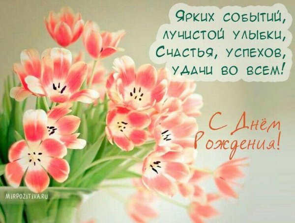 с днём рождения нежные цветы и пожелания