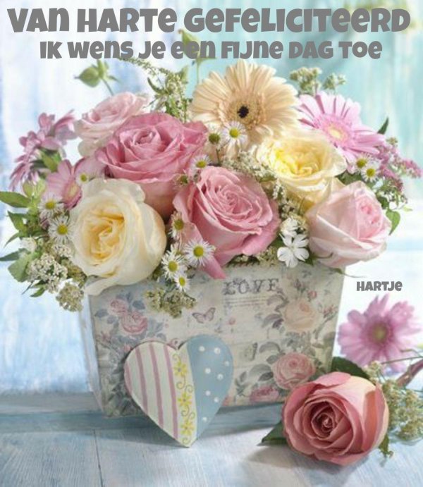 цветы красивая