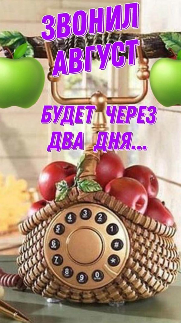 лето август