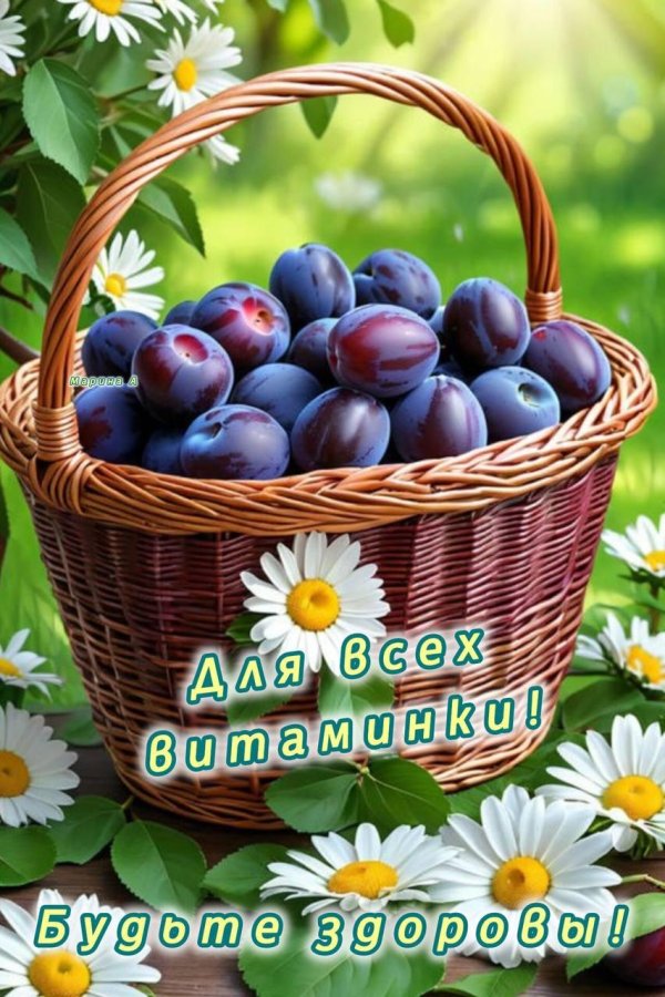 сливы в корзине