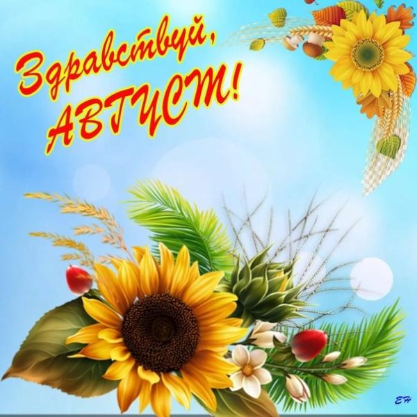 подсолнухи рисунки