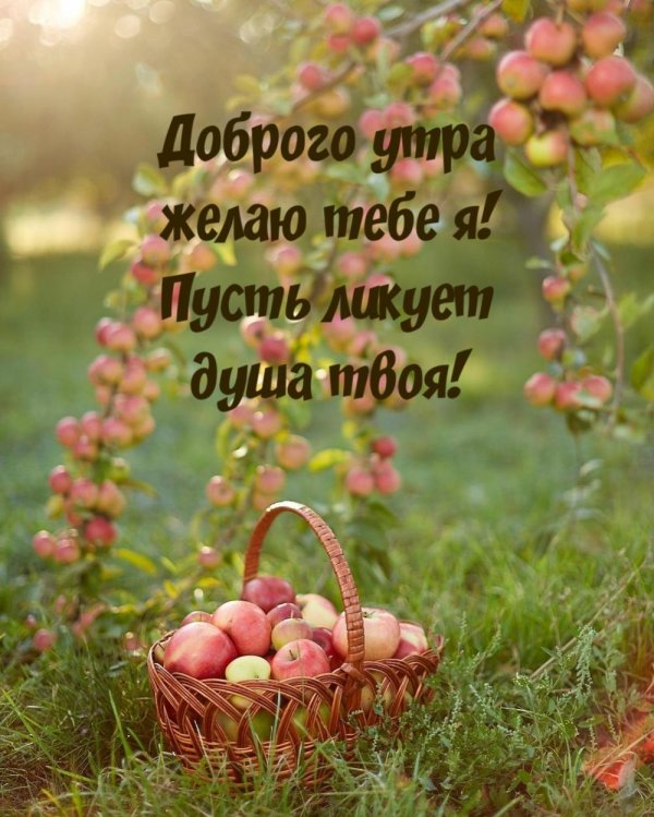 доброе утро яблочного спаса