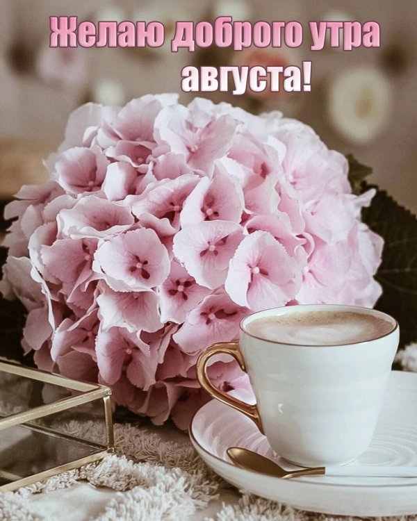 доброго утра красивые