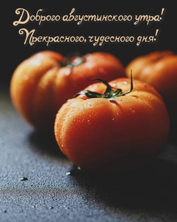 помидоры фон