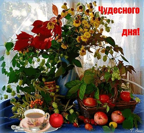 чудесного дня августа