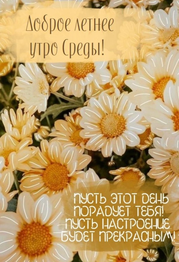 летнее утро доброе