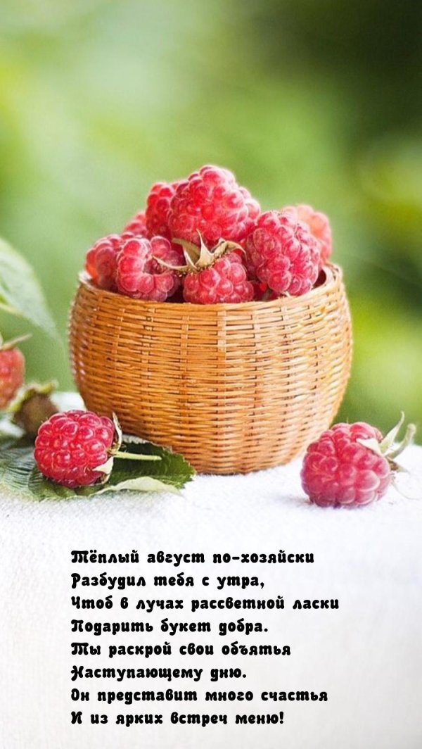 доброго августовского утра