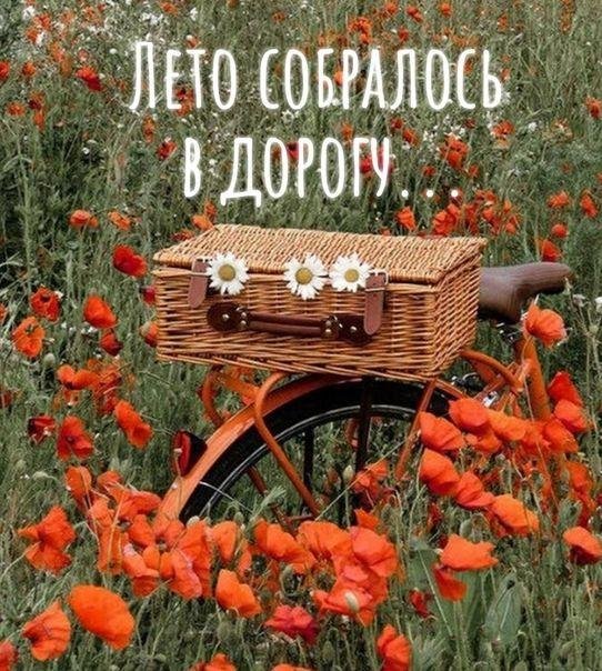 велосипед в поле