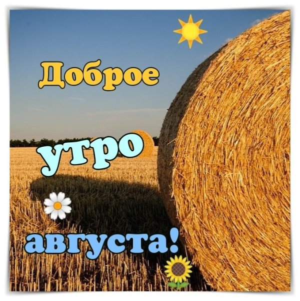 лето август