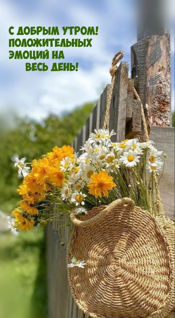 летнего утра